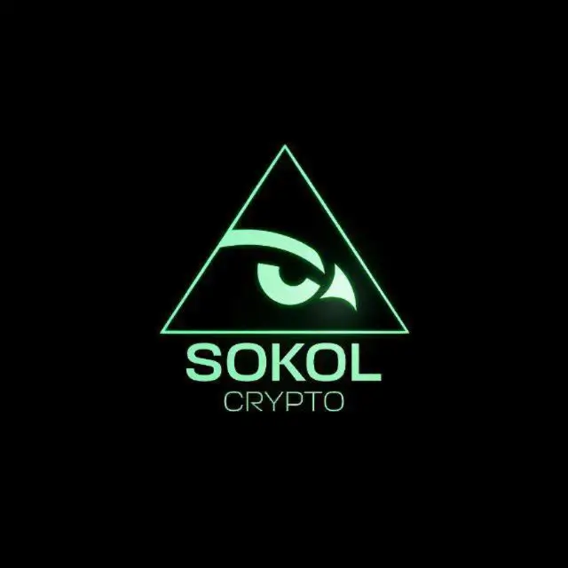 Sokol Crypto отзывы: анализ деятельности основателя и ключевые факты
